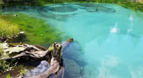 1jrliohk935w402n4laakilzi9jiww9n