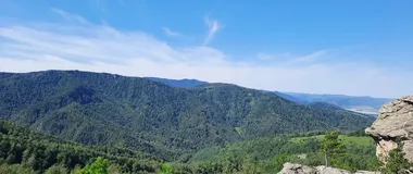 горно-лесной массив