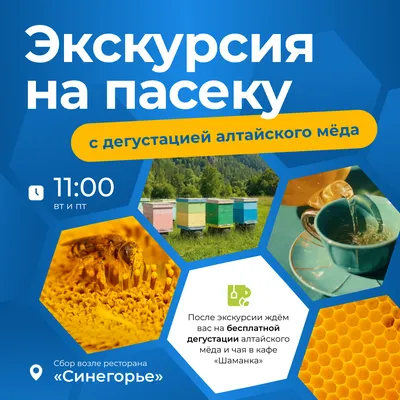 Экскурсия на пасеку