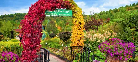 арка из цветов в дендрарий