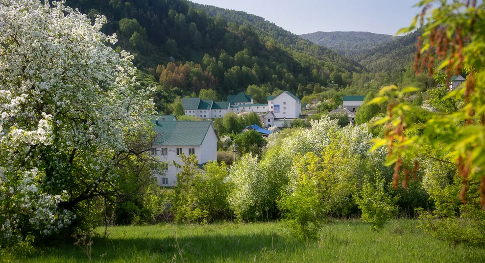 горы, лес и санаторий
