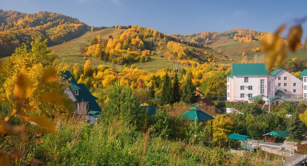 санаторий и лес