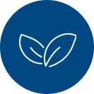Frame_1462984215.png.webp