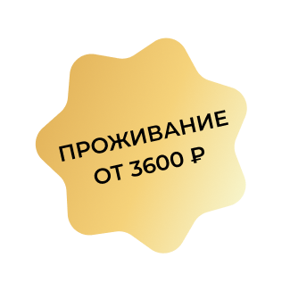 Frame 1462984856