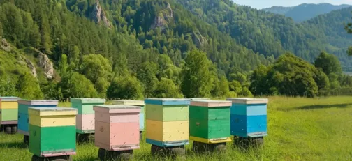 экскурсия на собственную пасеку