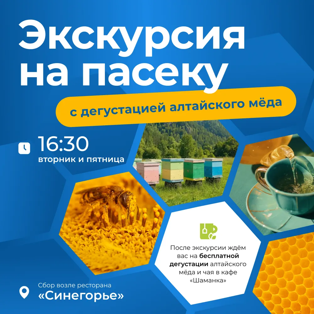 экскурсия на пасеку