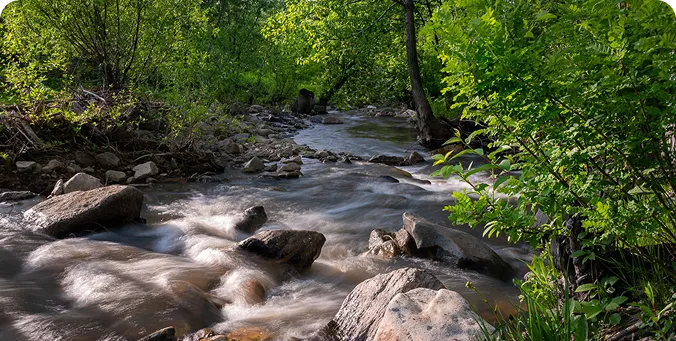 Rectangle 4261659 (8)