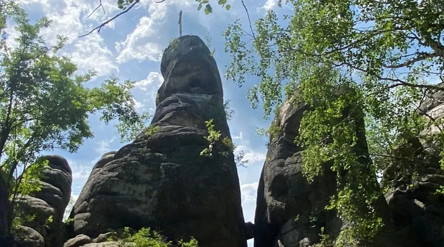 caption (1)