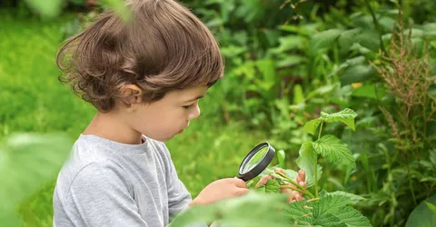 child-with-magnifying-glass-examines-plants-garden-closeup