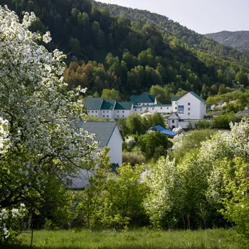 горы, цветы, дома