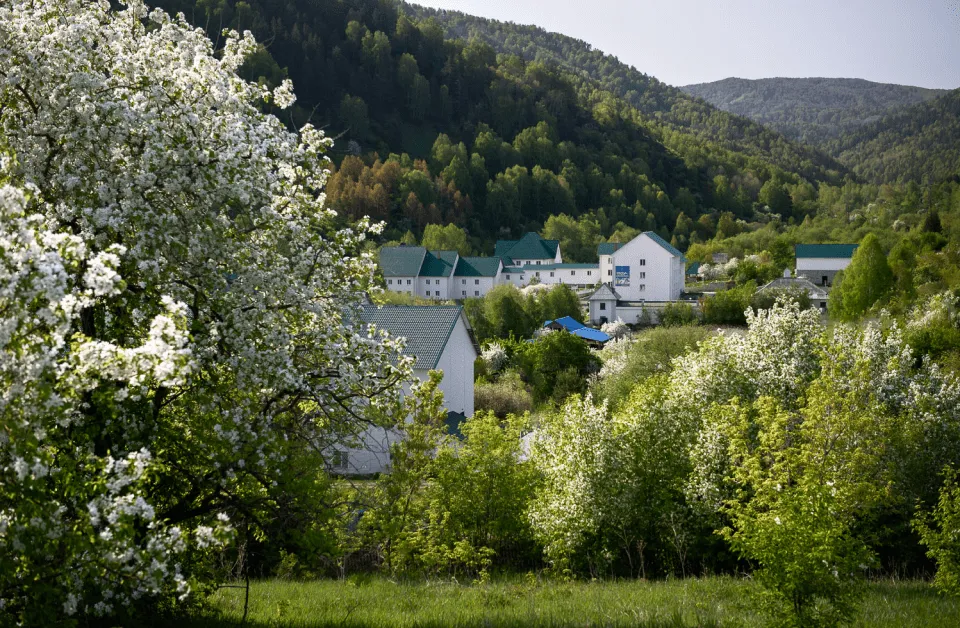 горы, цветы, дома