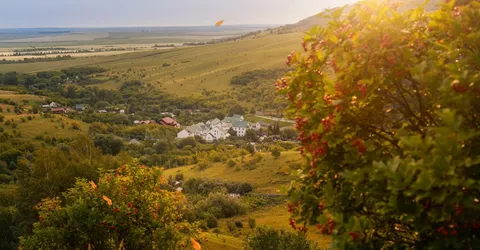 freepik__assistant__20542