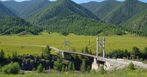 freepik__assistant__77093