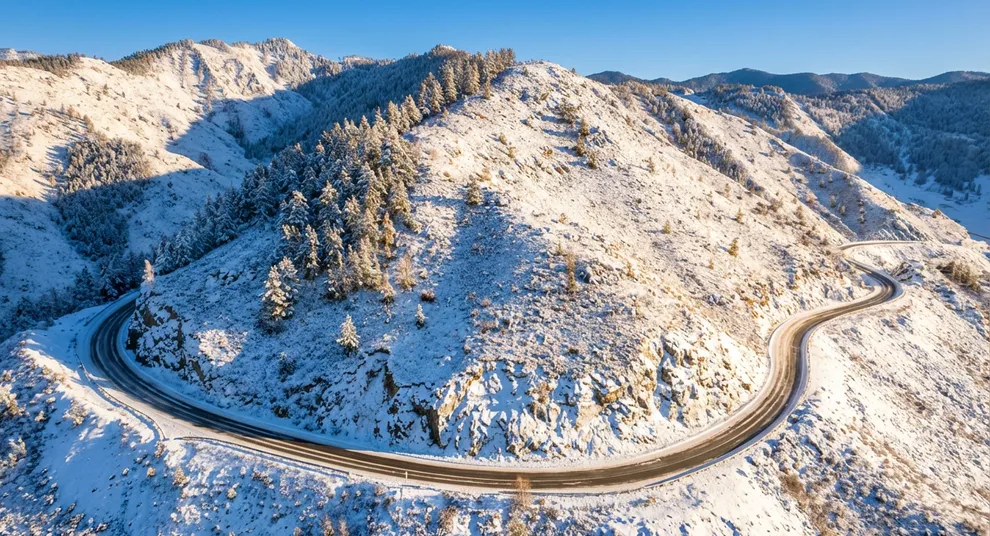 freepik__assistant__84137