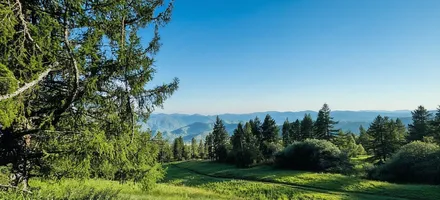 freepik__enhance__16649-2 (2)