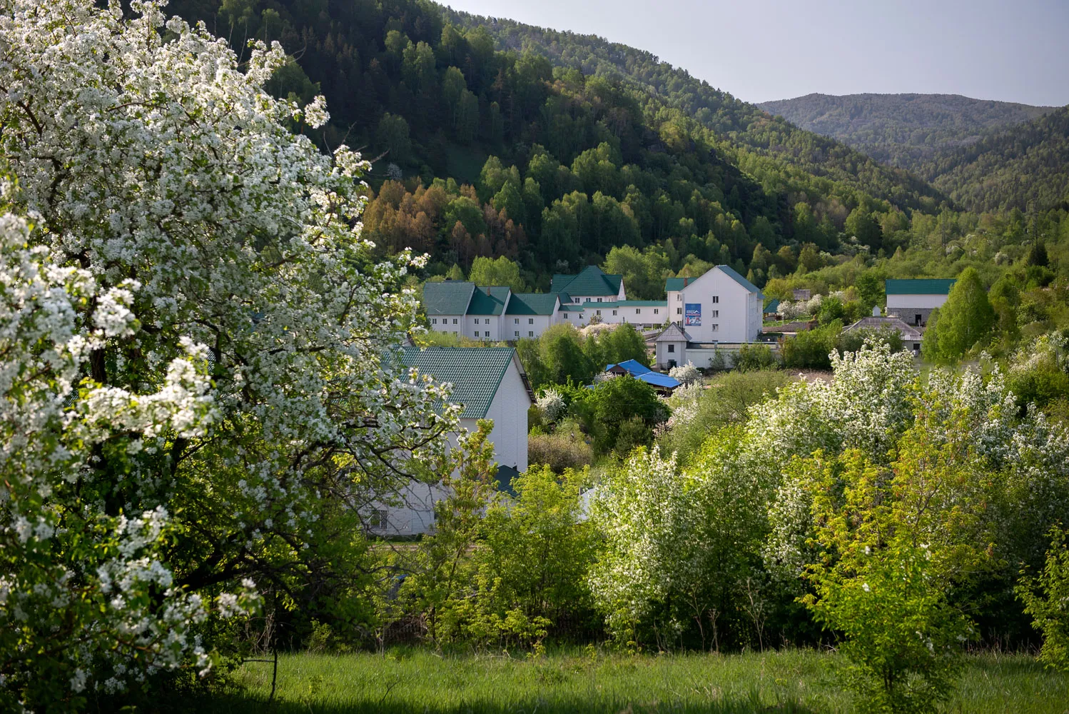 горы, дома и деревья