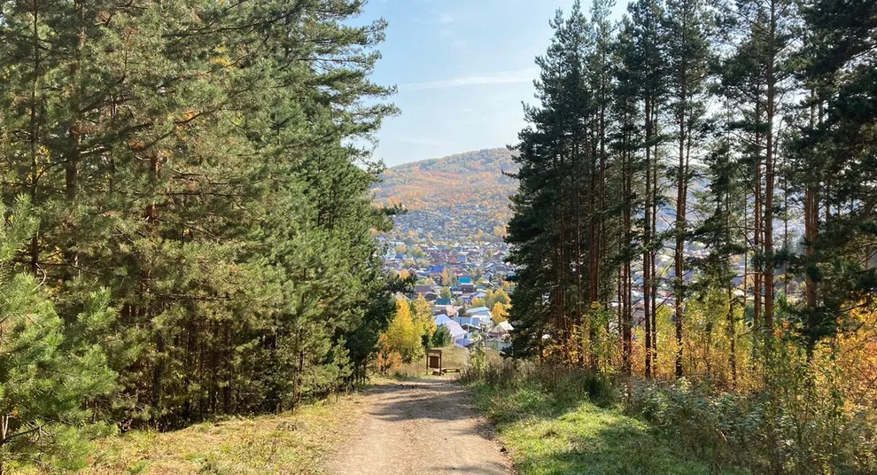 дорога в лесу с видом на долину