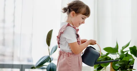 malys-polivaet-rastenia-v-domasnih-usloviah