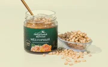 мед с кедровыми орешками