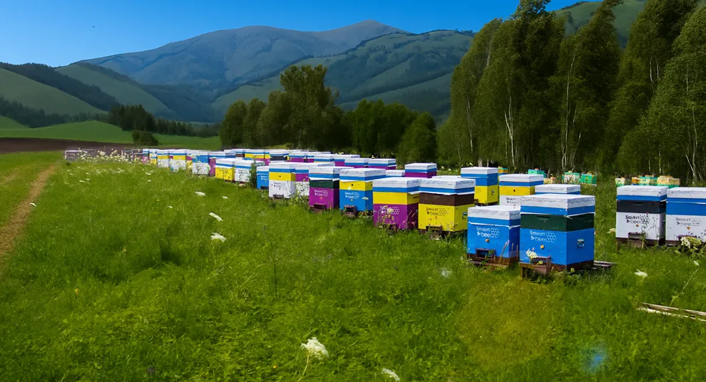пасека