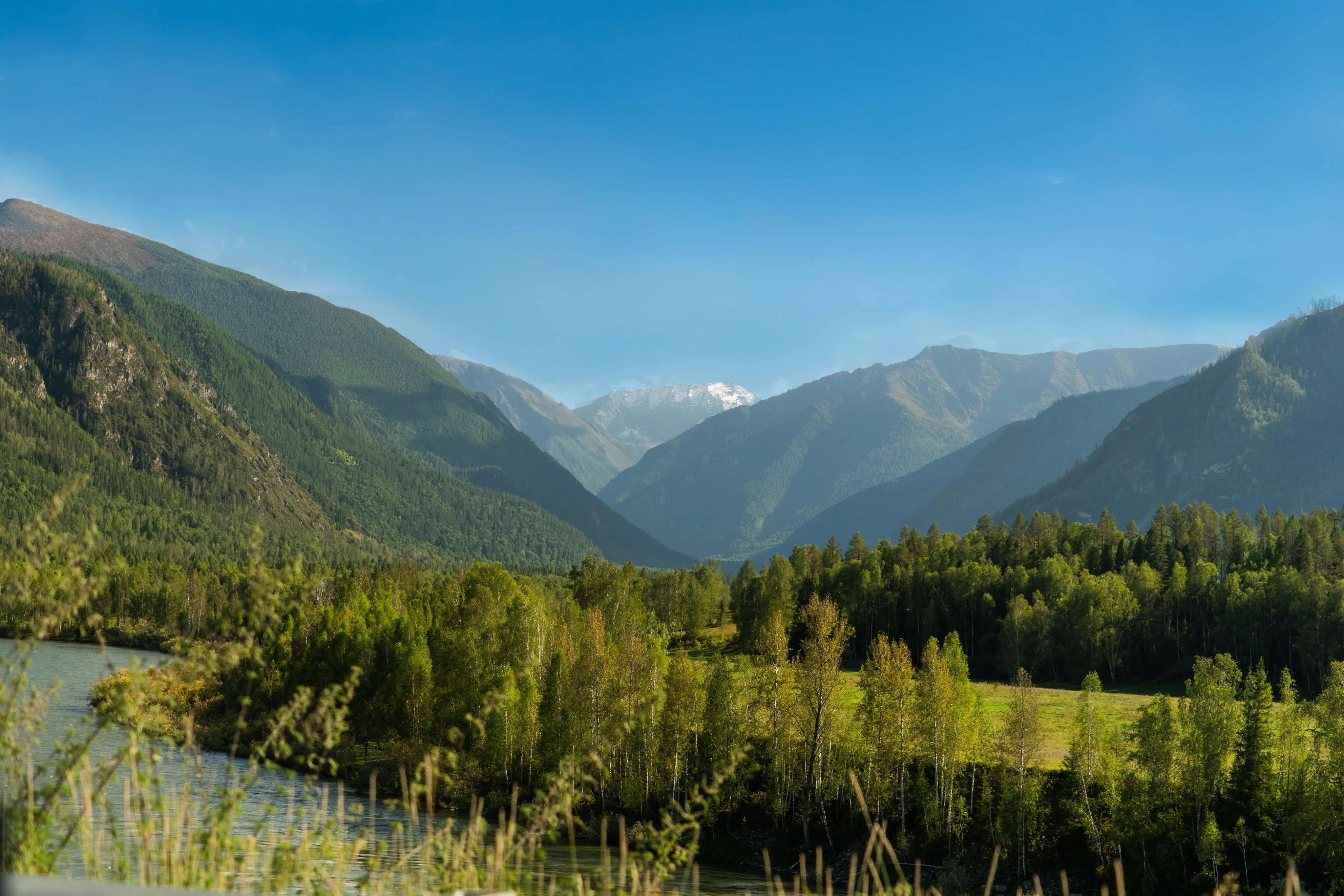 горы река и деревья