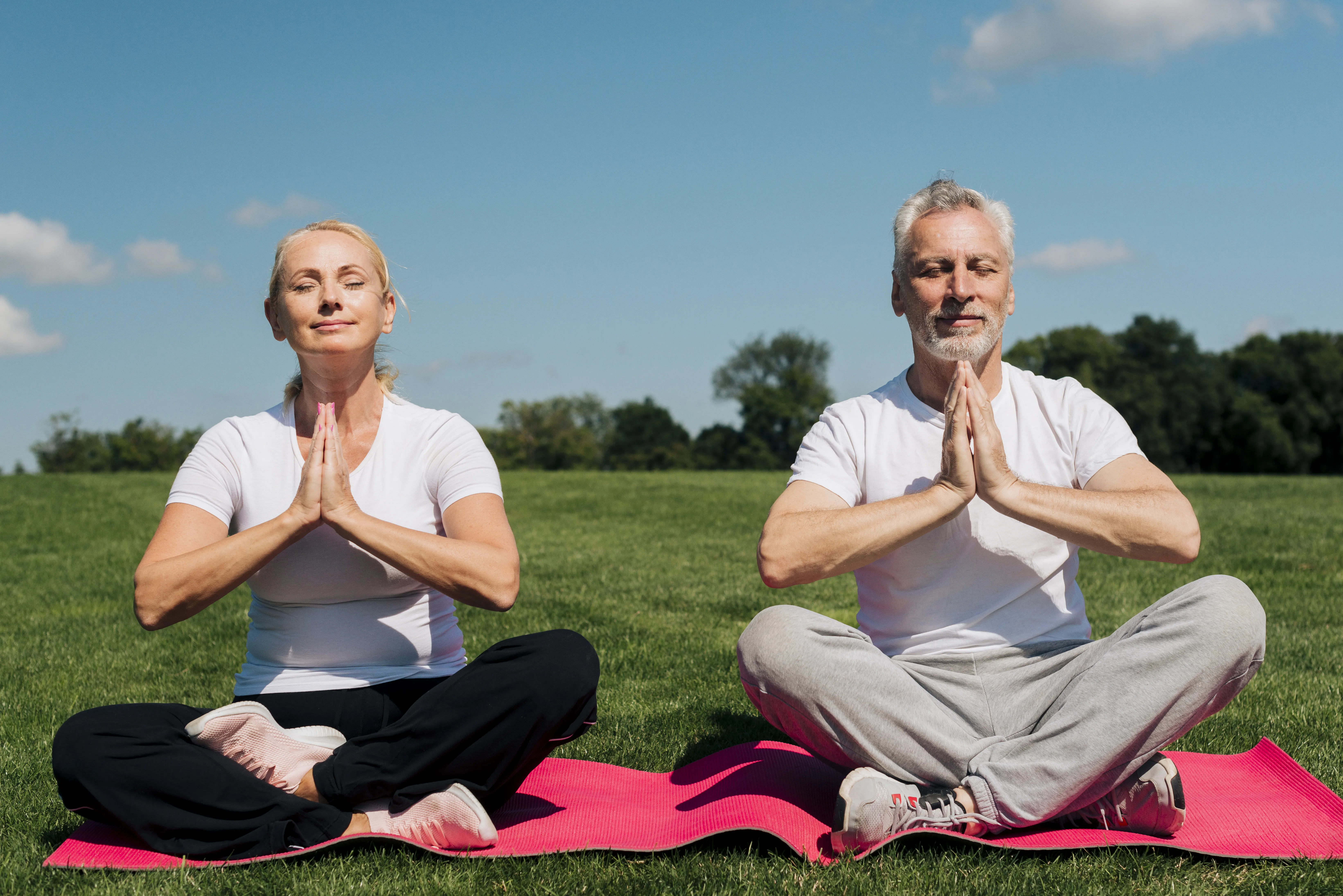 vid-speredi-ludi-meditiruut-vmeste